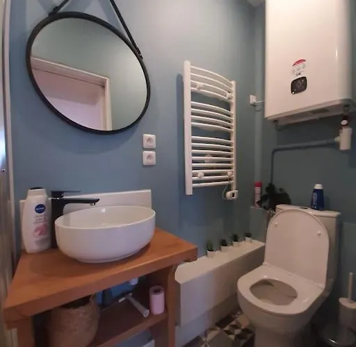 Apartment Centre Compans Caffarelli Superbe Toulouse