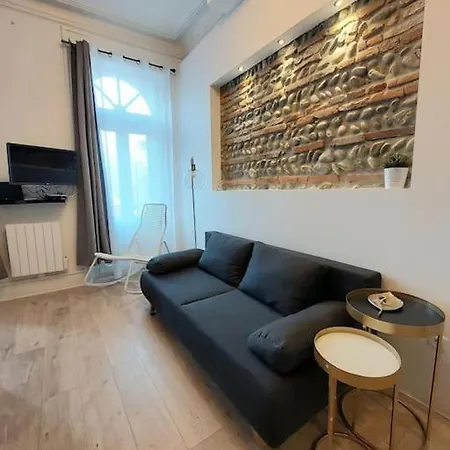 Centre Compans Caffarelli Superbe Apartamento Toulouse